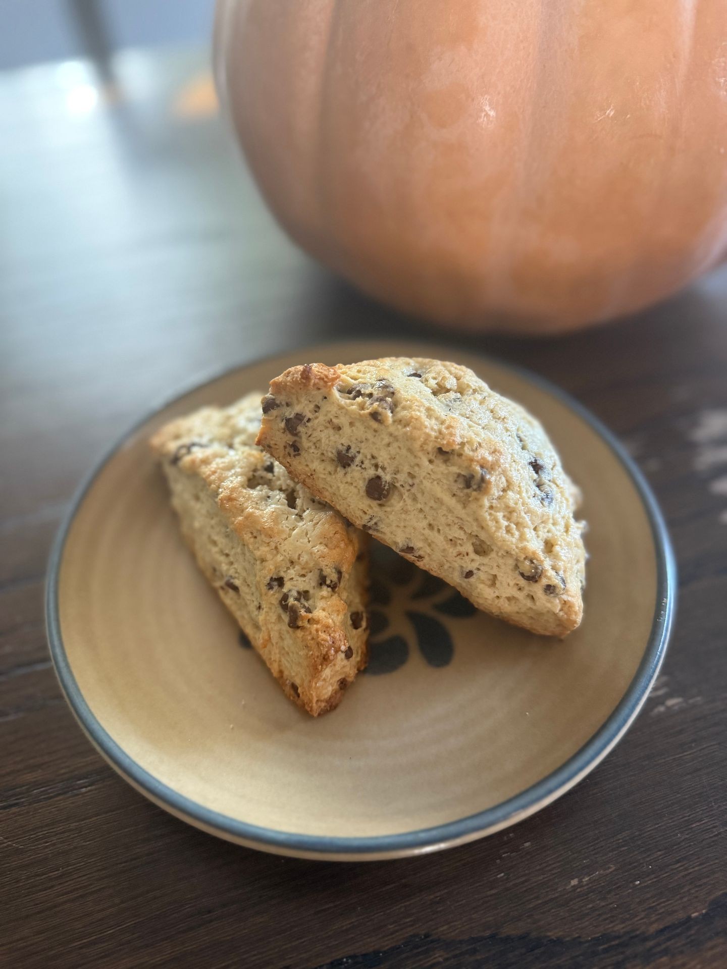 Sourdough Chocolate Chip Scone